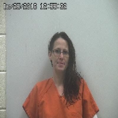 Woman gets prison sentence for assaulting police officers - Crawford County Now