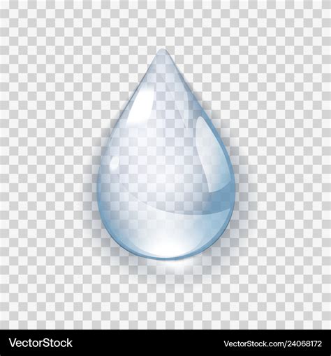 Realistic water drop on transparent background Vector Image