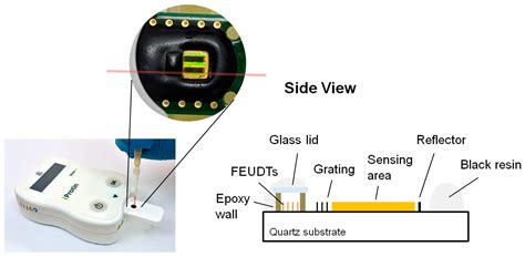 Biosensors | Free Full-Text | Application of Shear Horizontal Surface ...