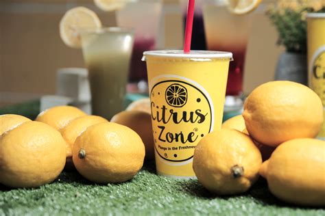 Citrus Zone Refreshment | Lemonade