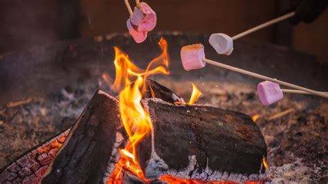 Fire Safety When Camping - Tips to Stay Safe — Thrifty Mommas Tips