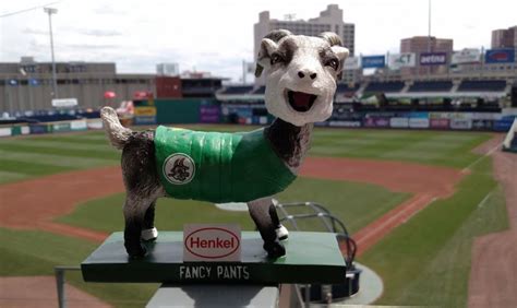 Hartford Yard Goats 2018 Promotional Stadium Giveaways - Stadium ...