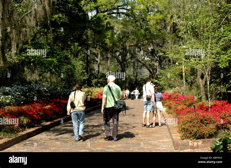 Florida Maclay Gardens in spring Stock Photo - Alamy