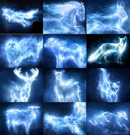 Harry Potter Patronus Picture Match Quiz