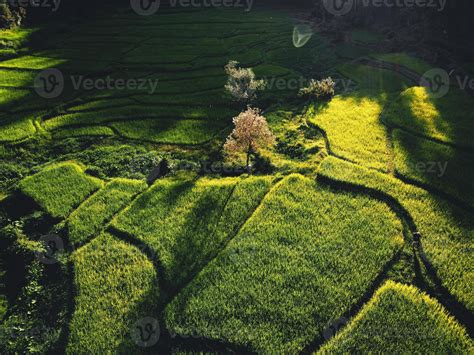 Landscape Paddy rice field in Asia, aerial view 3357676 Stock Photo at ...