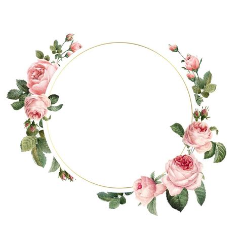 Marcos florales en blanco | Rose frame, Wedding frames, Pink and white ...