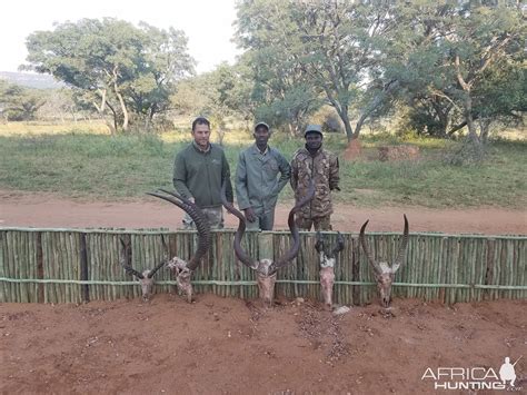 South Africa Trophy Hunt | AfricaHunting.com