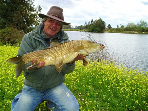 River Barbel Fishing Holidays In Spain | Extremadura Fishing