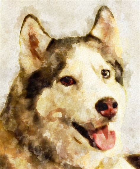 Watercolor Painting Illustration of Husky Dog Portrait Stock Illustration - Illustration of ...