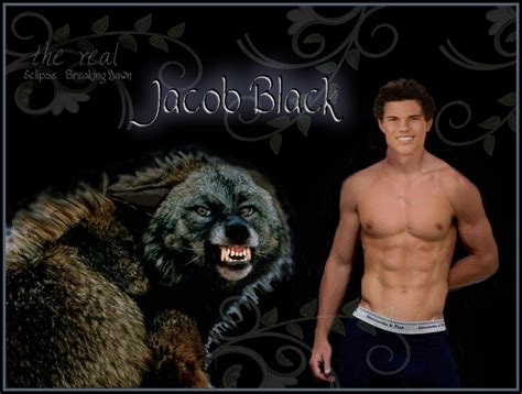 Twilight Jacob Wolf Wallpapers - Wallpaper Cave