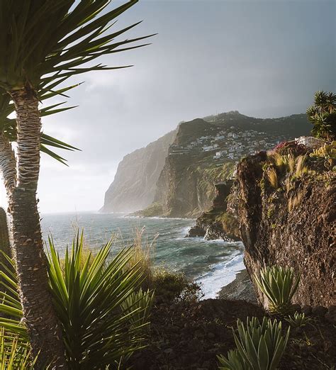 HD wallpaper: Island Landscape, agave, beach, coast, daylight, exotic, Madeira | Wallpaper Flare