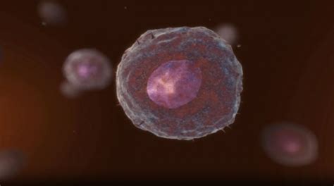 Circulating tumor cells to help stage metastatic breast cancer • healthcare-in-europe.com