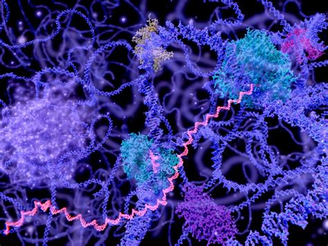 Step Aside, CRISPR: RNA Editing Is Taking Off | Scientific American