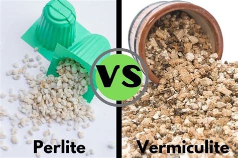 Perlite Vs Vermiculite: Which is Better for Soil? - Flourishing Plants