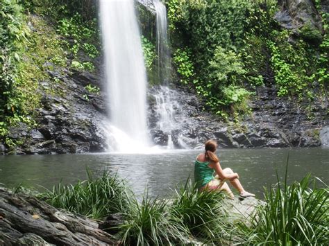 Palm Cove Daintree Rainforest Tours