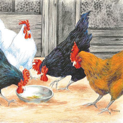 KB15G Here Chook, Chook! – Art Publishing Australia