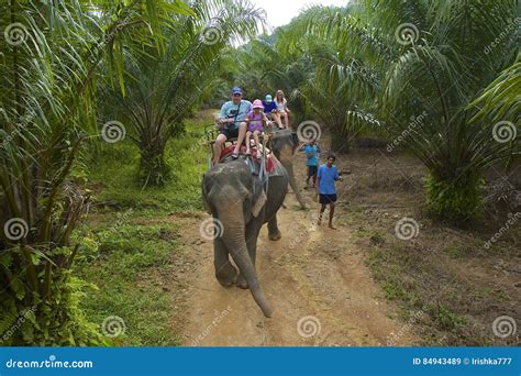 Elephant ride in Thailand editorial stock image. Image of trek - 84943489