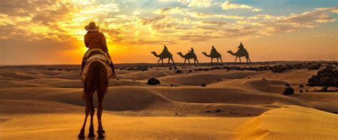 Desert Safari in Qatar - Discover the Golden Sand Dunes