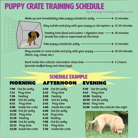 40 Dog Training Plan Template | Hamiltonplastering | Crate training ...