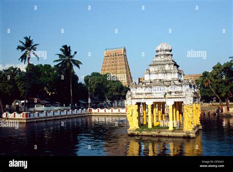 Kasi Viswanathar Temple with pond ; Tenkasi ; Tirunelveli ; Tamil Stock Photo - Alamy