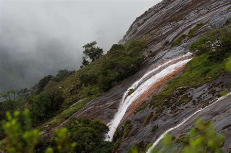 Treks and travels: Eravikulam National Park - Home of Nilgiri Tahr