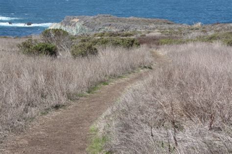 Jade Cove in Big Sur, CA - California Beaches