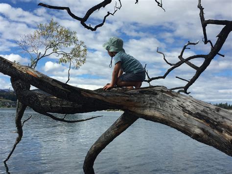 Tree Climbing and Health and Safety - Little Kiwis Nature Play