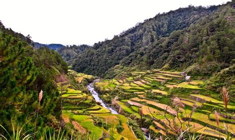 The rice terraces in Barlig, Mountain Province Rice Terraces, Municipality, Philippines ...