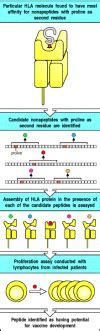 Manipulating the immune response to fight infection - Immunobiology - NCBI Bookshelf