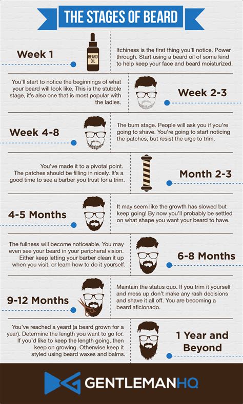 Stages Of Beard