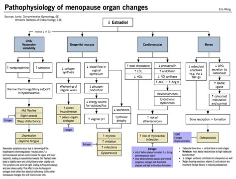 Pathophysiology of menopause organ changes – McMaster Pathophysiology Review