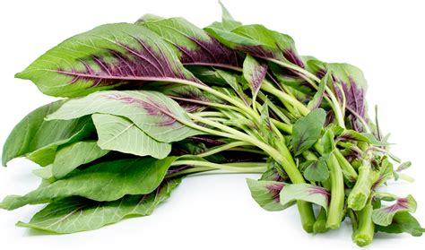 Chinese Spinach Information and Facts