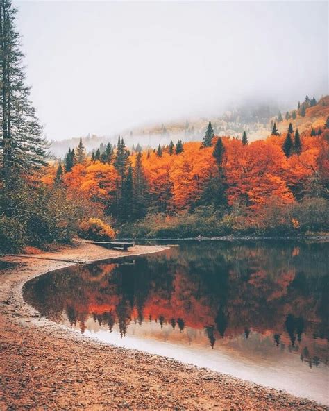 Canadá | Autumn scenery, Fall pictures, Nature photography