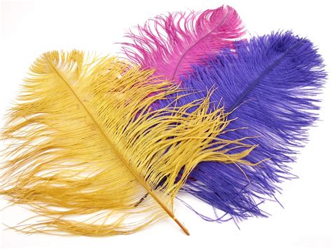 Category: Ostrich feathers natural and dyed – Jaffe