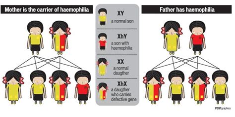 Hemophilia | About Mutation