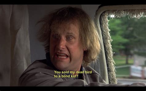 Dumb quotes, Favorite movie quotes, Dumb and dumber