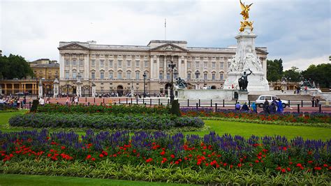 Magic Mushrooms Found in Queen Elizabeth's Garden at Buckingham Palace