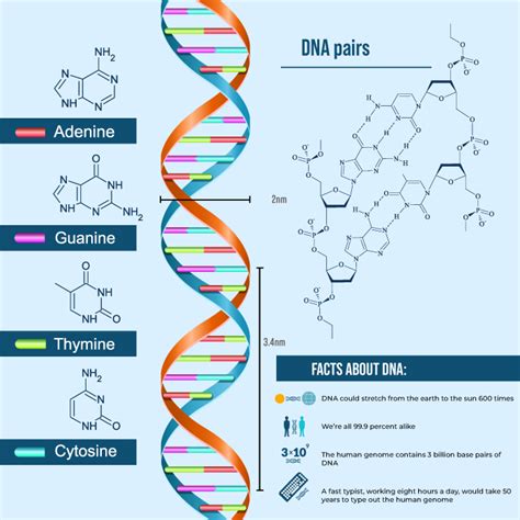 Why Thymine is present in DNA instead of Uracil?