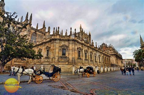 Seville Cathedral And La Giralda - Stunning Ode To Excess In Andalusia - NEXTBITEOFLIFE BLOG