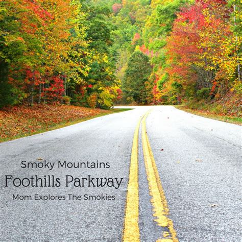 Foothills Parkway in the Fall | Smokey mountains vacation, Mountain vacations, Smoky mountains