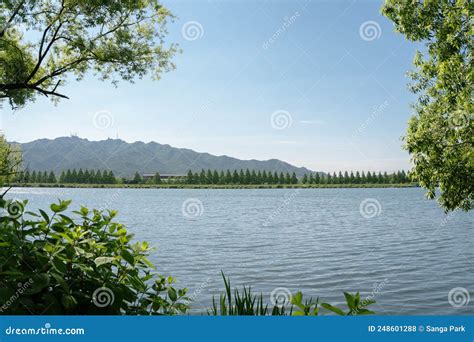 Seoul Grand Park Lake View in Gwacheon, Korea Stock Photo - Image of outdoor, park: 248601288