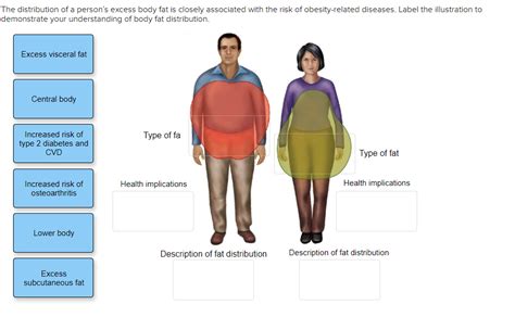 Solved The distribution of a person’s excess body fat is | Chegg.com