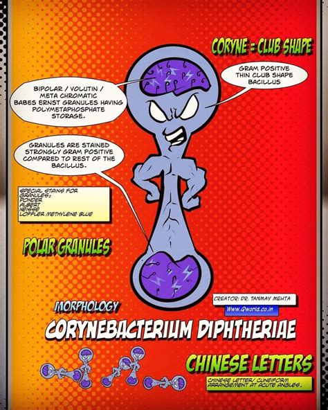 Morphology of Corynebacterium diphtheriae: Qworld Medical comics ️ ...