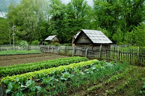 14 Important Ideas About What Every Homestead Needs and Must Implement