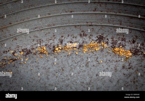 Alluvial gold hi-res stock photography and images - Alamy