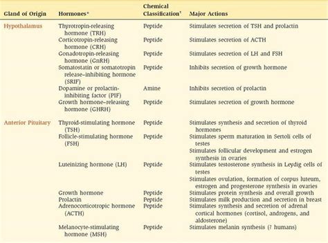 Endocrine System Table