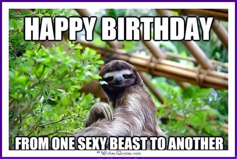 Happy Birthday Memes With Funny Cats, Dogs And Animals | Sloth, Sloth ...