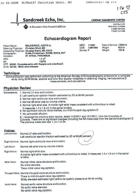 jm's Adventure with Multiple Myeloma: Echocardiogram Results from ...