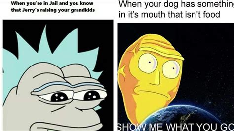 10 Best Rick and Morty Memes That Will Make Waiting for Season 4 Easier