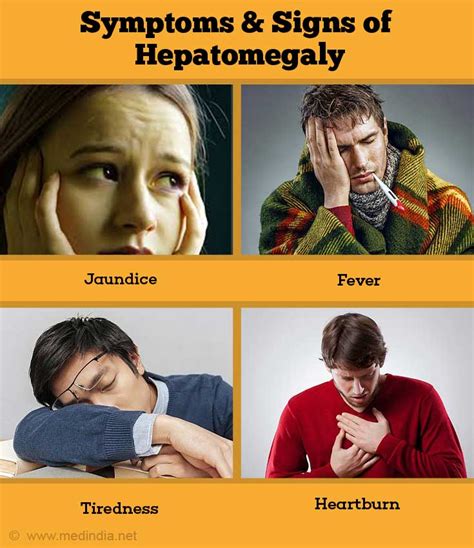 Hepatomegaly - Causes, Symptoms, Diagnosis, Treatment & Prevention